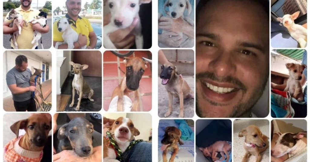 mascotas desaparecidas Maracaibo