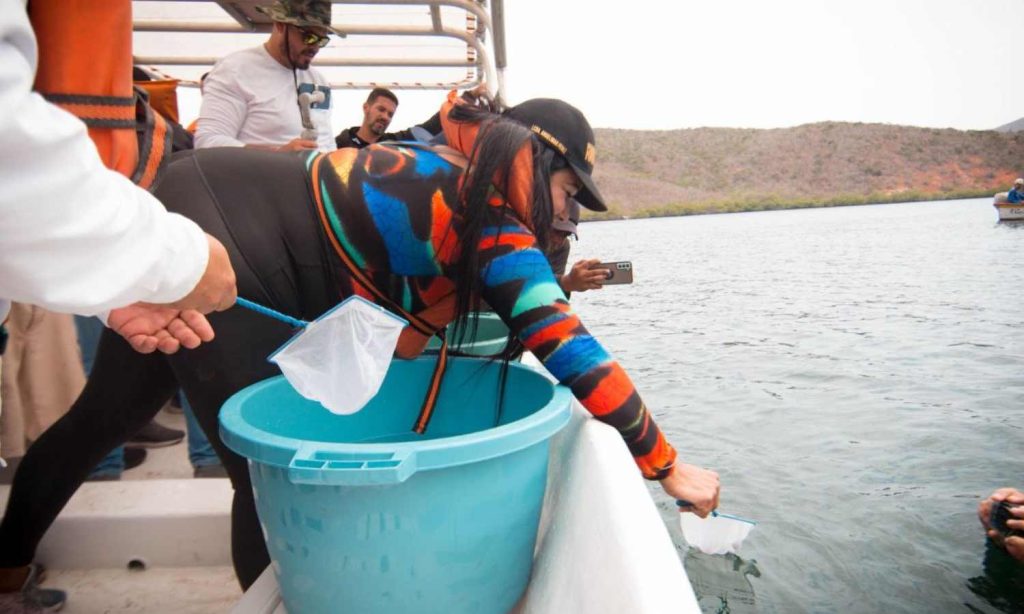 parque nacional mochima 