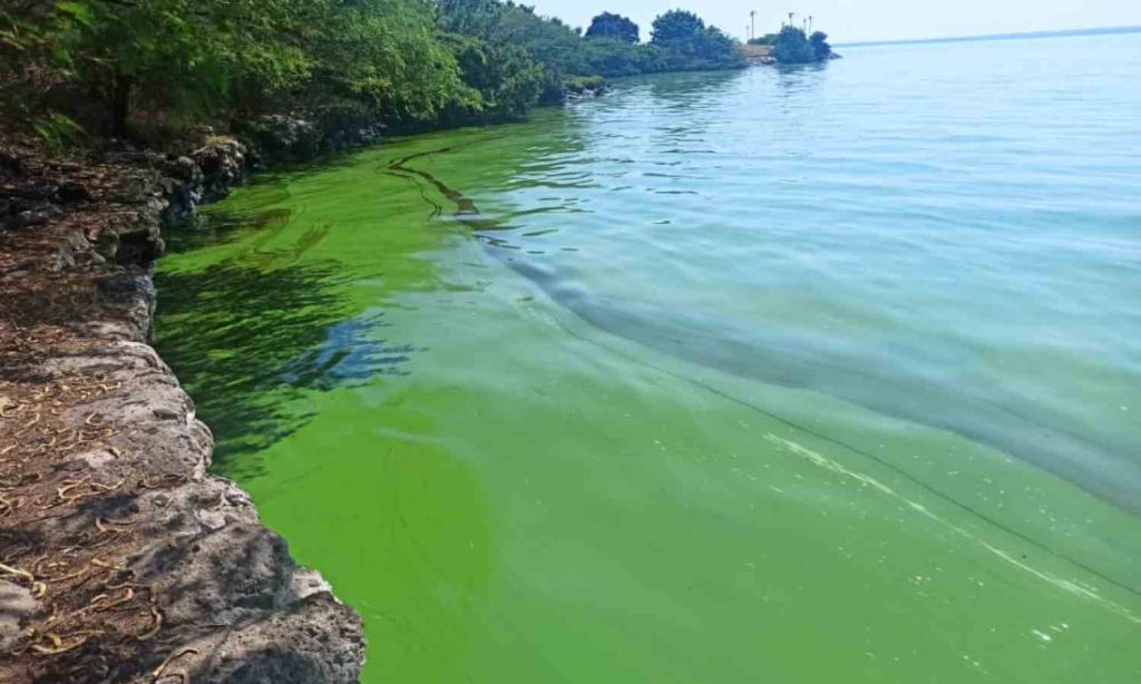 Lago de Maracaibo