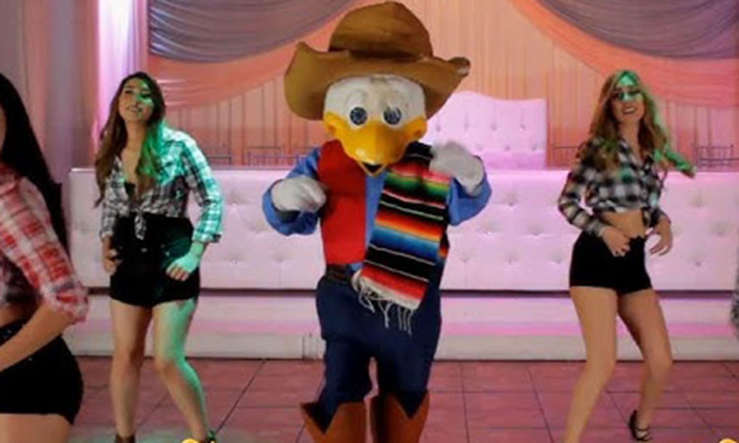 el chichicuilote