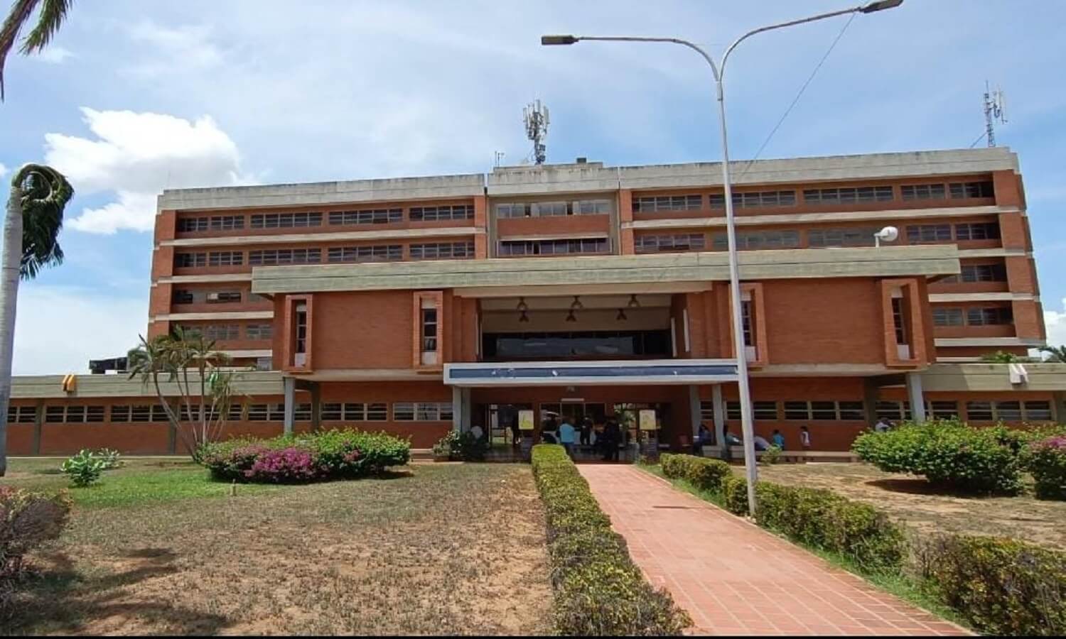 cirugía páncreas