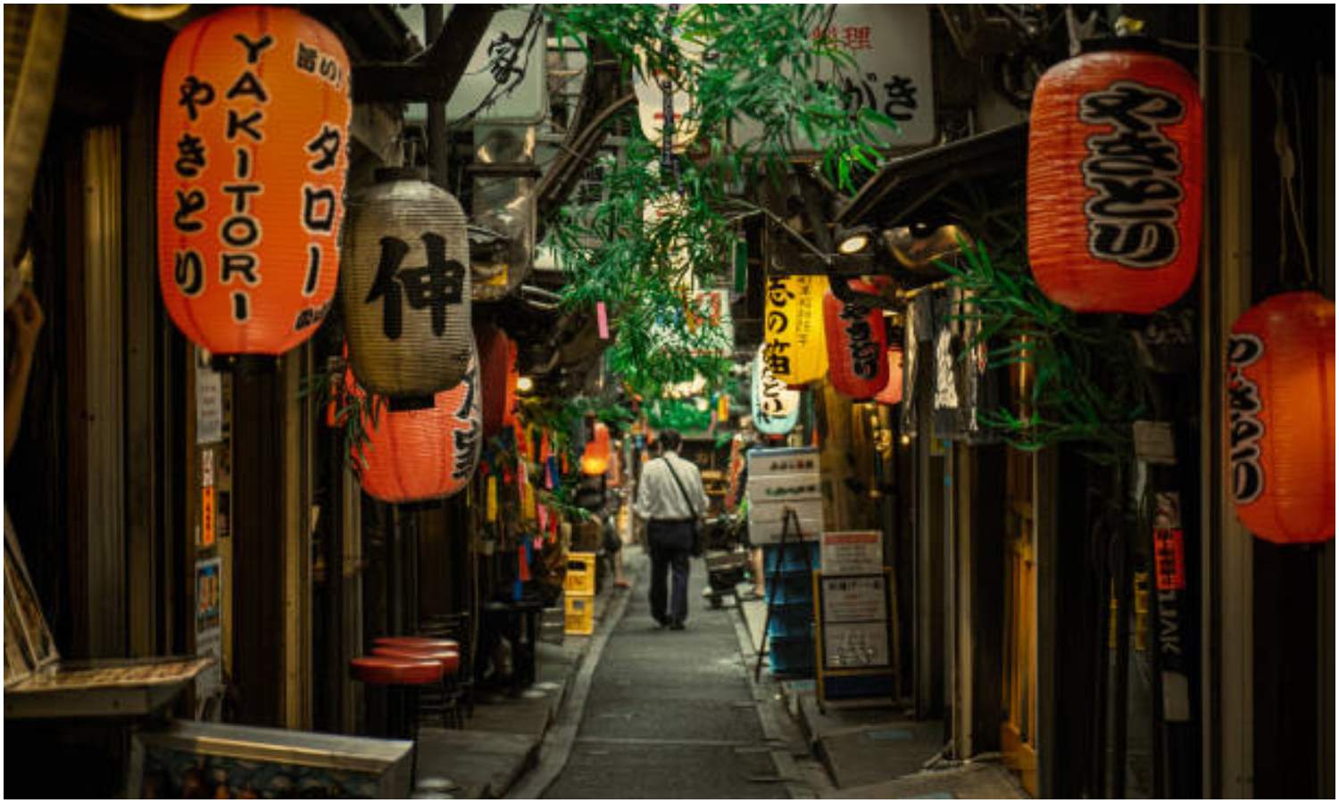 Canibalismo Japón