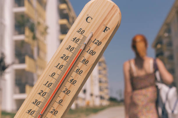 temperatura zulia