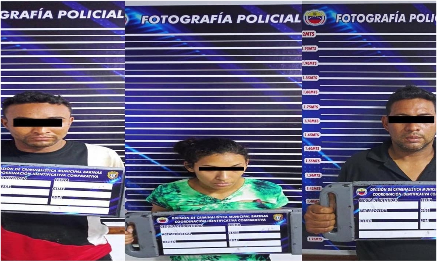 Robo barinas