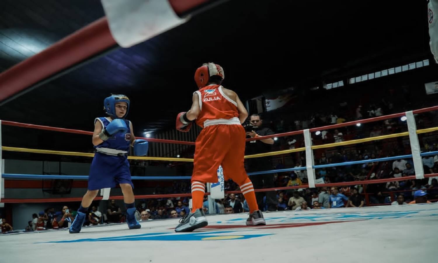 campeonato nacional boxeo infantil