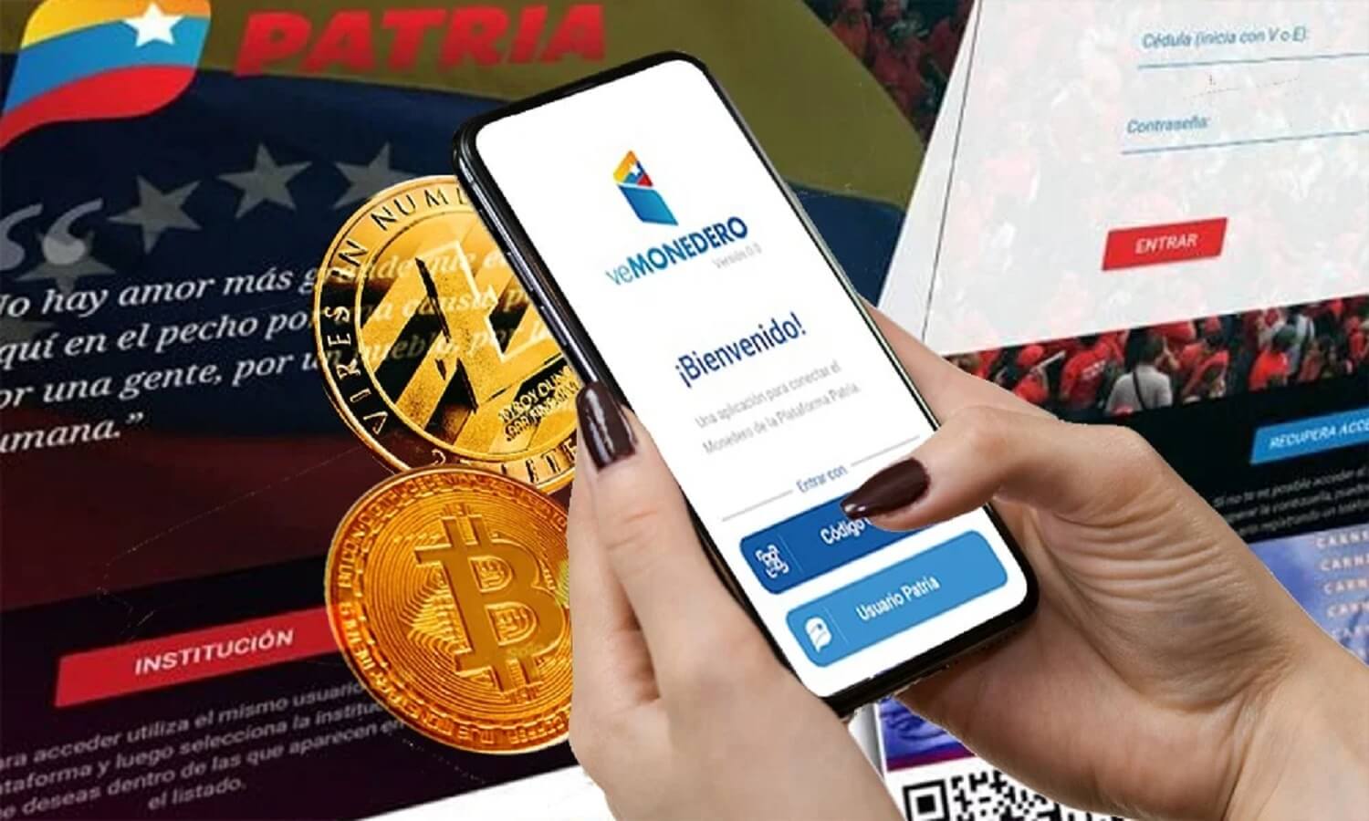 Pagan bono de 120 dólares por Patria: estas personas lo reciben