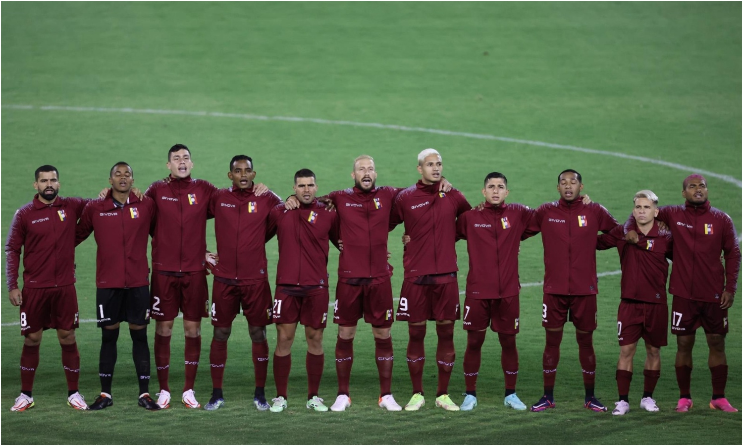 vinotinto