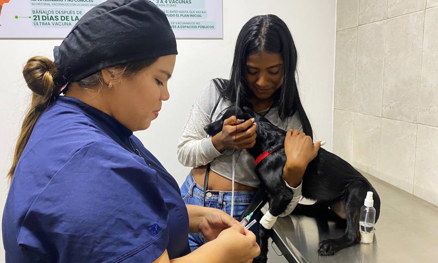 Centro de Atención Veterinaria en Maracaibo: consultas, vacunación y atención médica gratis para mascotas