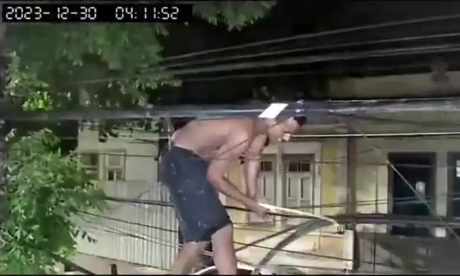 «Ratero araña»: Hombre subido en un árbol cae al piso tras cortar los cables que intentaba robar (+Video)