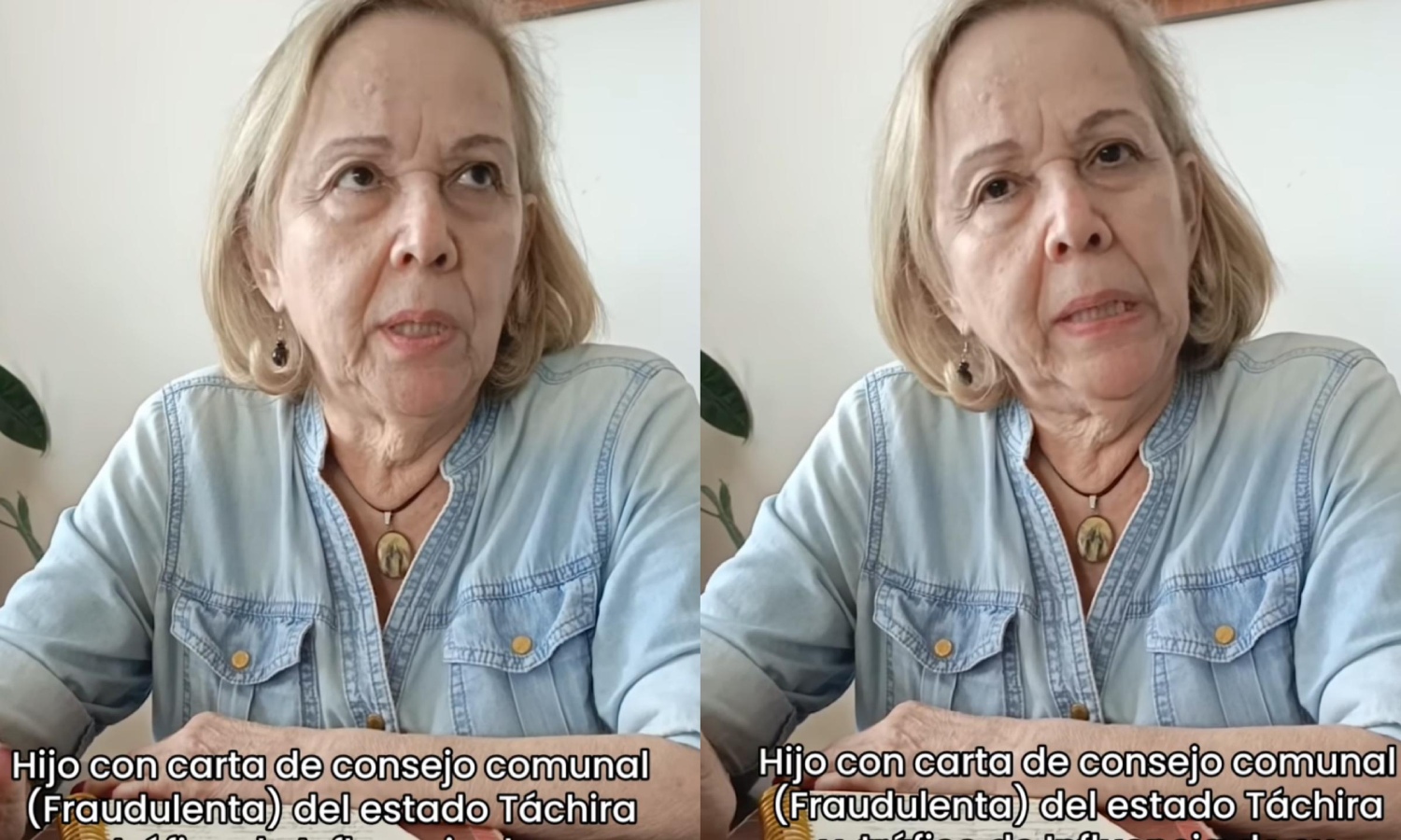 Madre denuncia que su hijo le quitó su finca en Santa Bárbara del Zulia: utilizó una carta fraudulenta del consejo comunal de Táchira para lograrlo