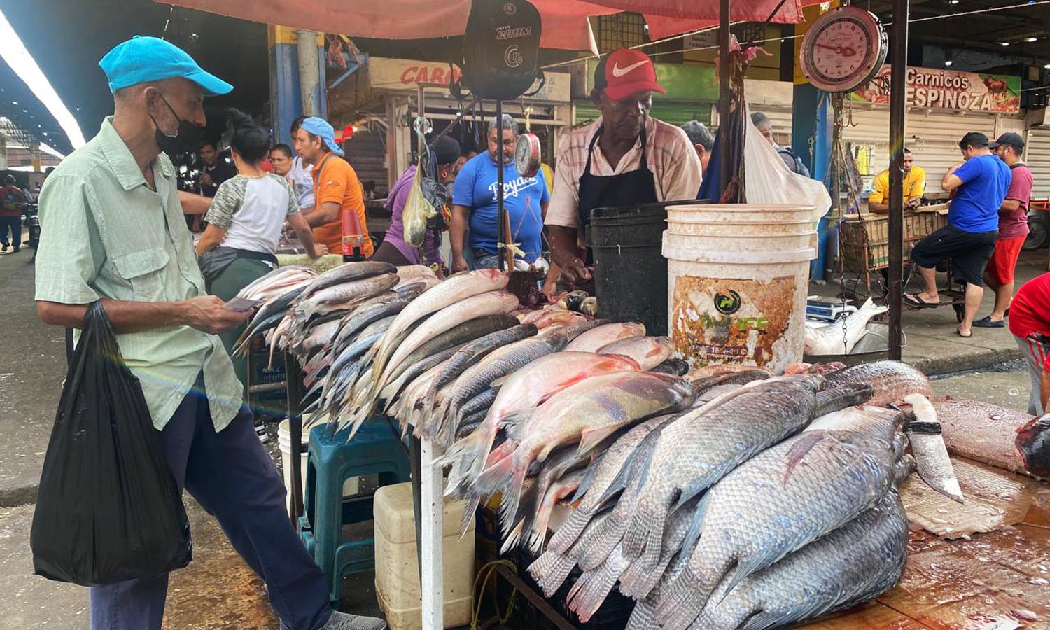 ¡Aprovecha antes que lo aumenten! Estos son los precios del pescado en el Centro de Maracaibo para Semana Santa 2024