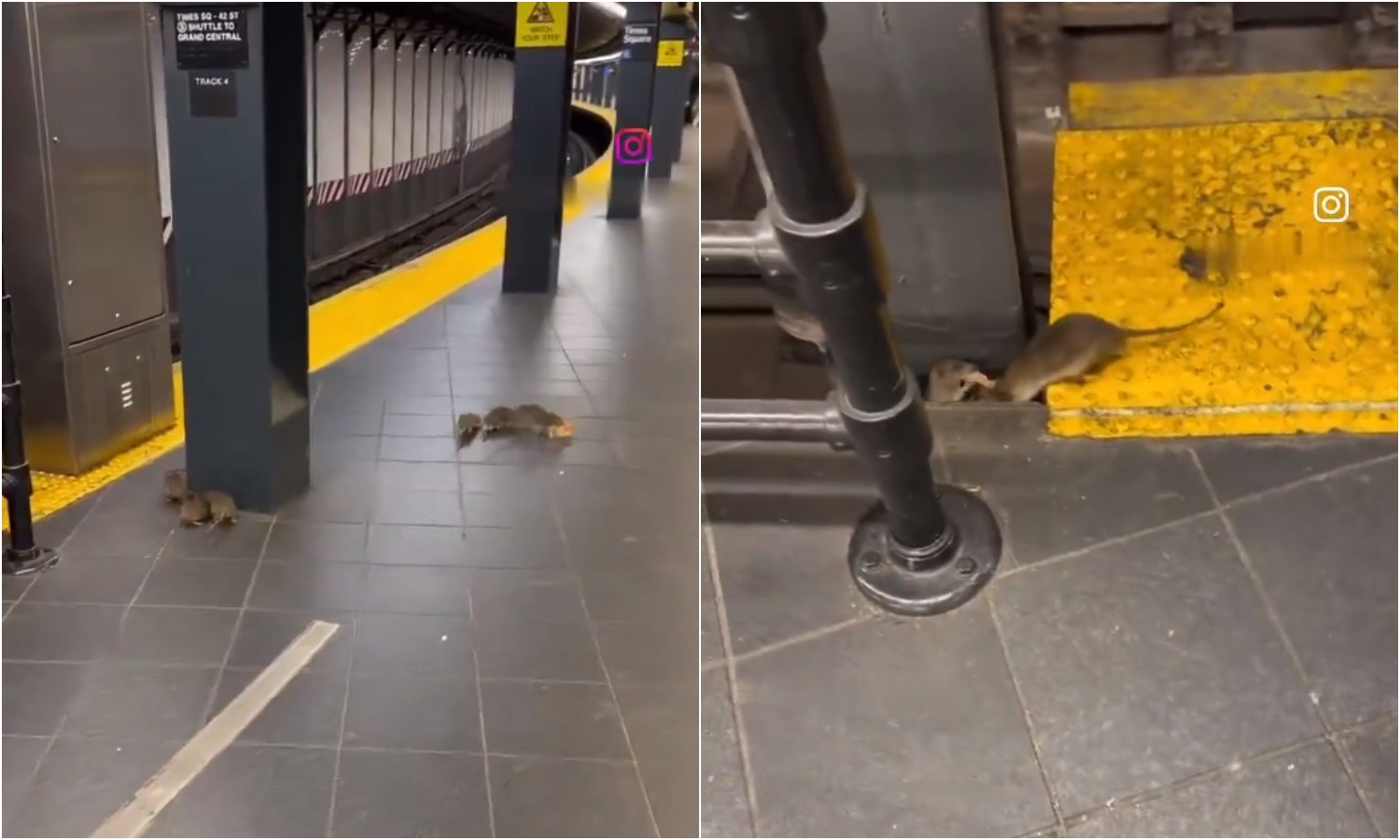 Nueva York