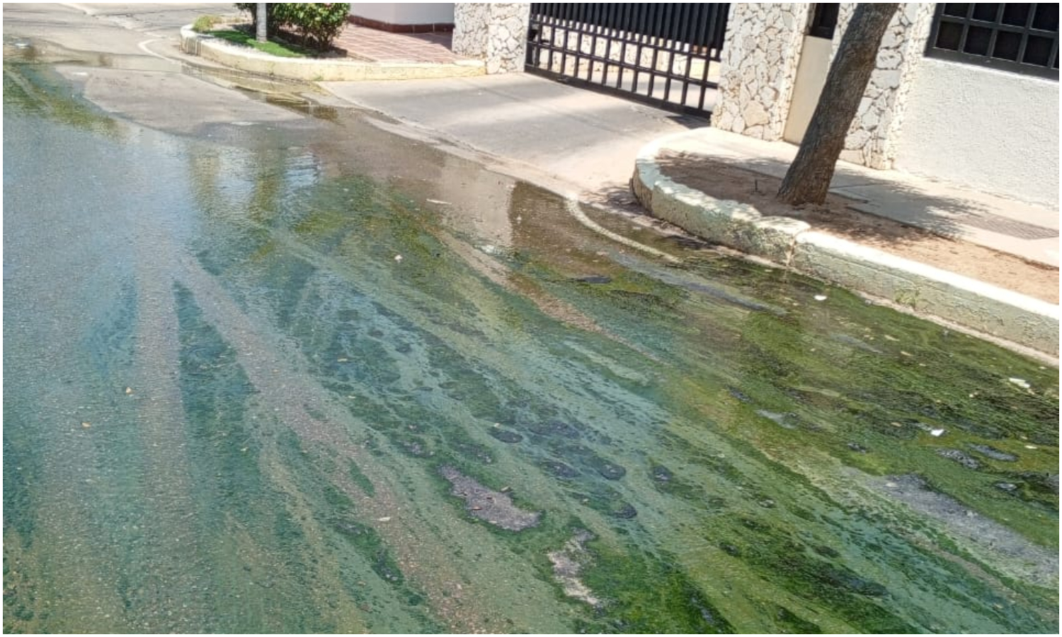 Vecinos del sector Doral Norte en Maracaibo exigen reparación de una cloaca desbordada: “Ya no aguantamos el olor putrefacto”