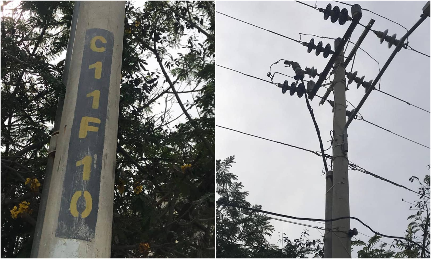 Zapara Maracaibo