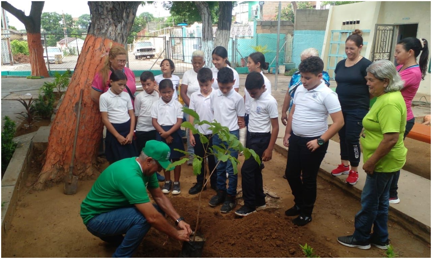 siembra árboles maracaibo