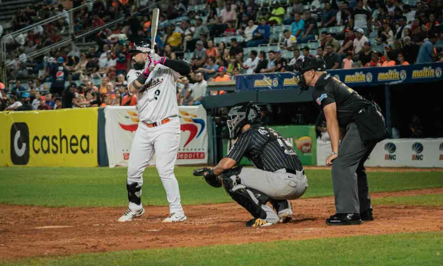 Águilas del Zulia “on fire” tras obtener su quinta victoria consecutiva al vapulear a Tigres de Aragua 12×3