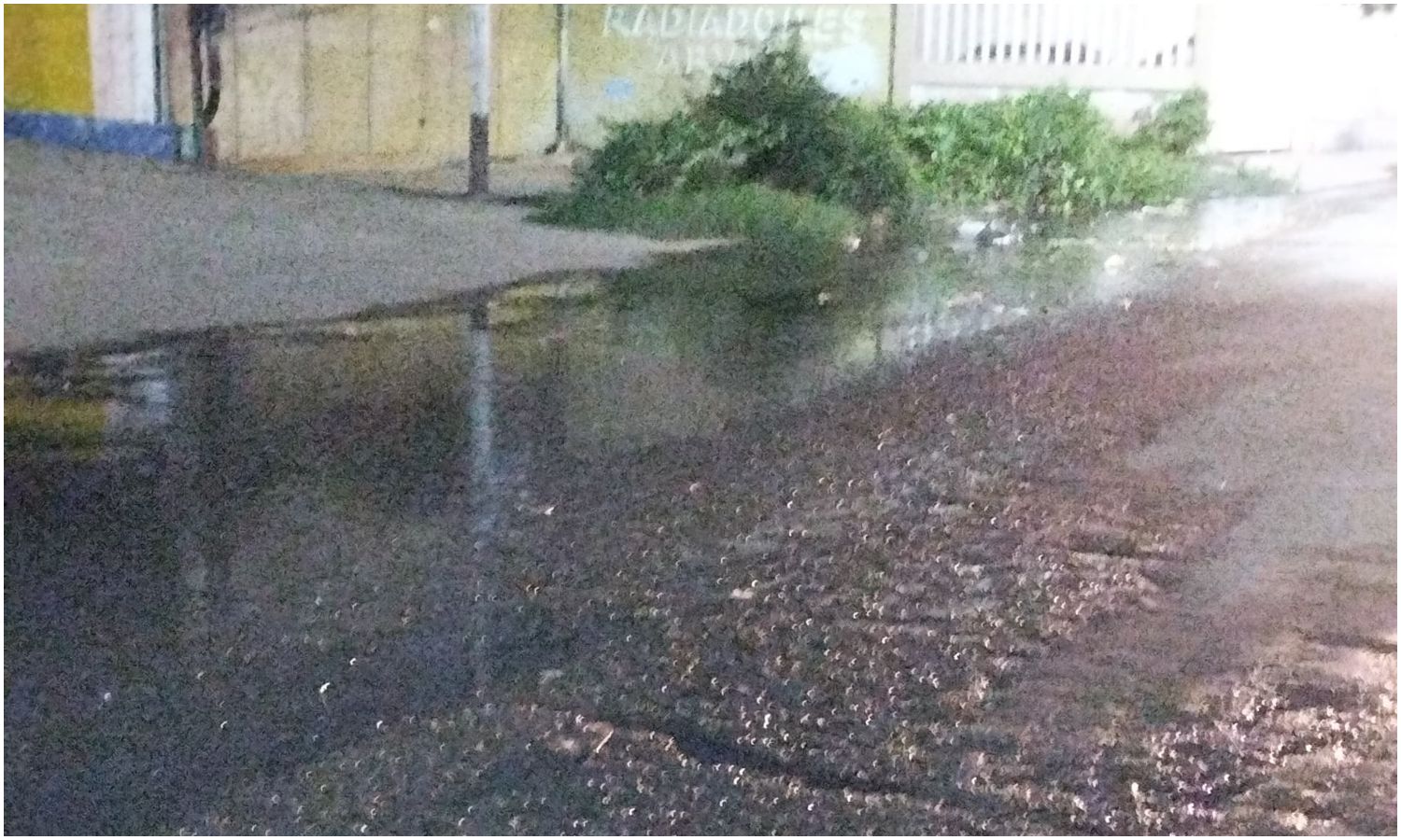 Bote de aguas negras lleva dos años afectando a habitantes de Los Haticos por arriba