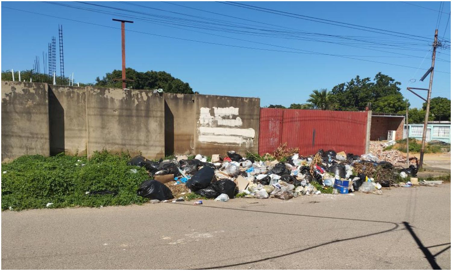 Denuncian vertedero de basura y ausencia del aseo urbano en sector La Rosaleda: “El camión solo pasa por las vías principales”