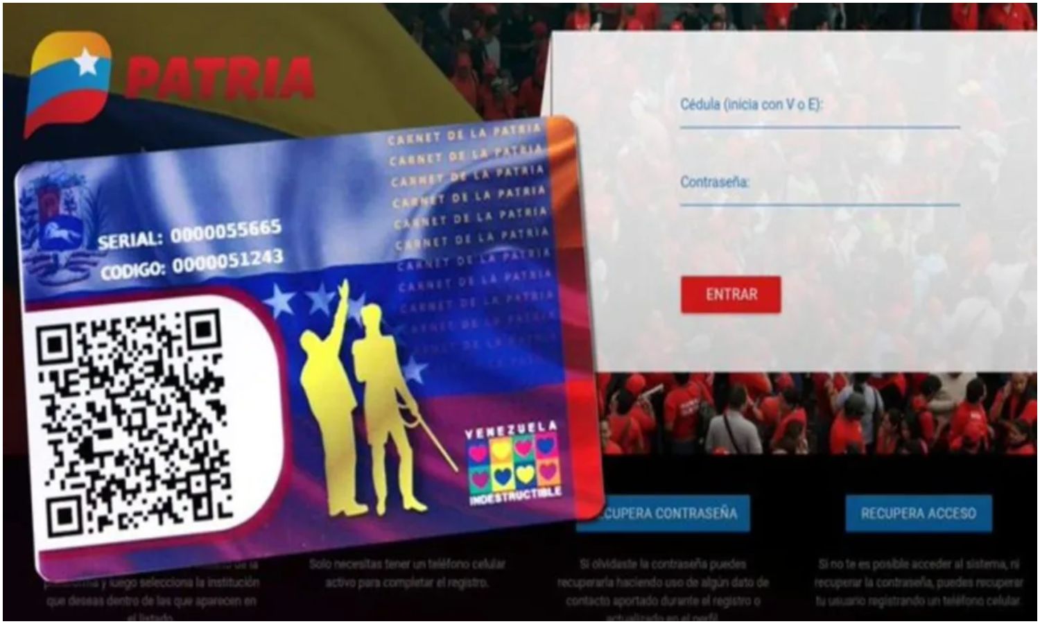 Sistema Patria inicia pago del Bono Único Familiar: este es el monto