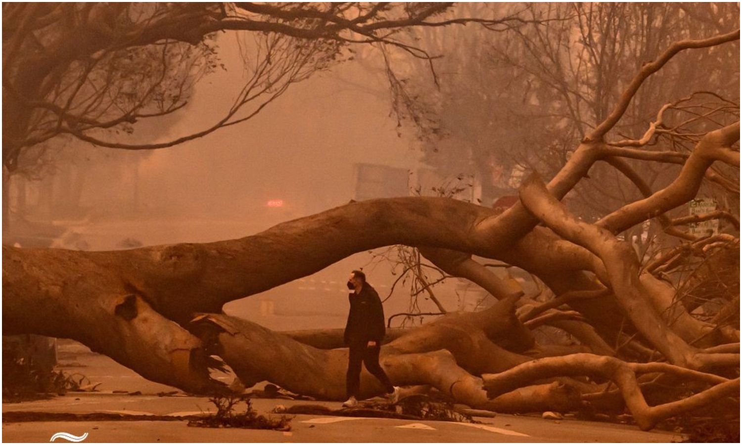 Incendios forestales devastan Los Ángeles: cifra de muertos ascendió a cinco y registran miles de evacuados 