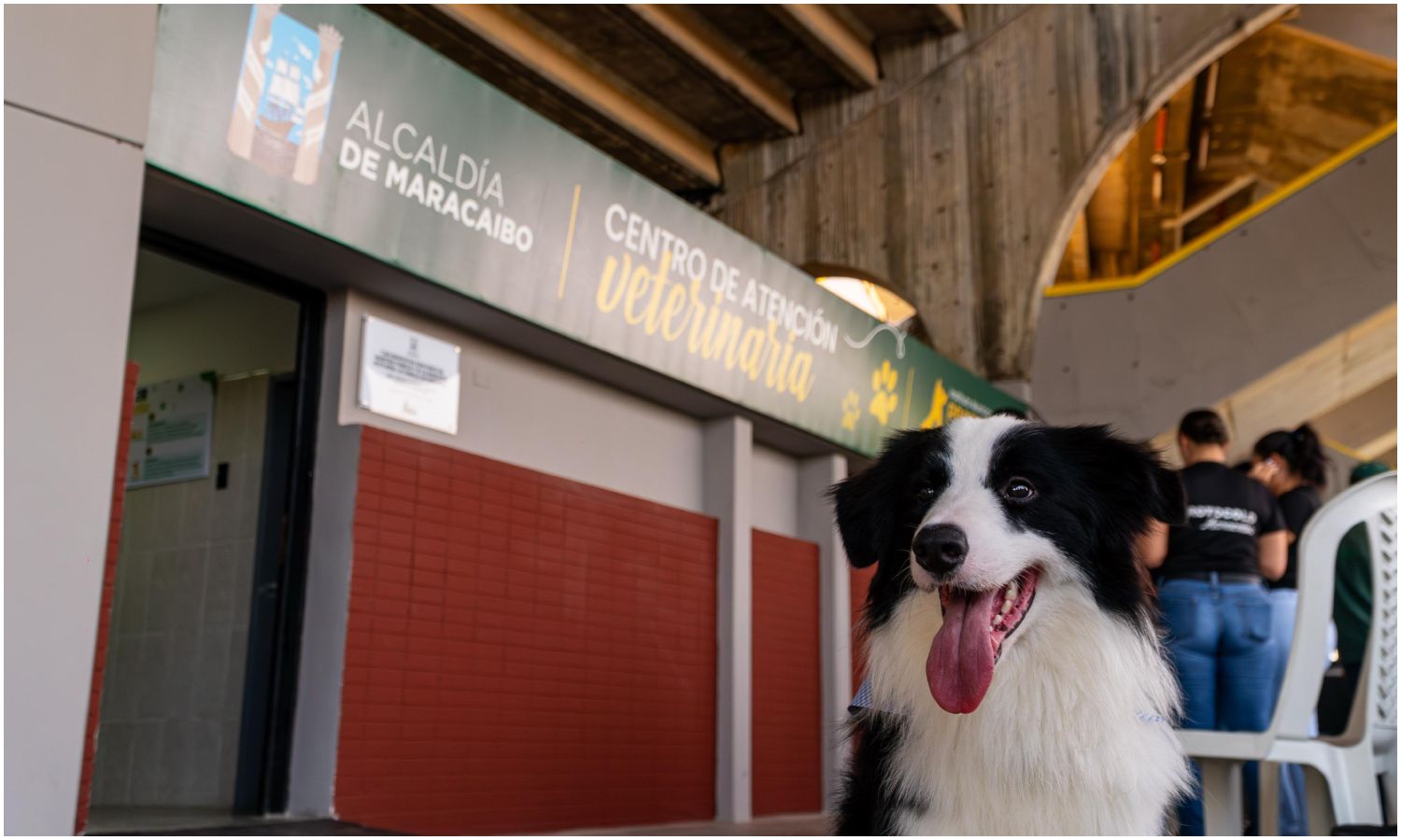 Centro de Atención Veterinaria de Maracaibo celebra su primer aniversario con miles de mascotas atendidas y reafirmando su compromiso con los animales