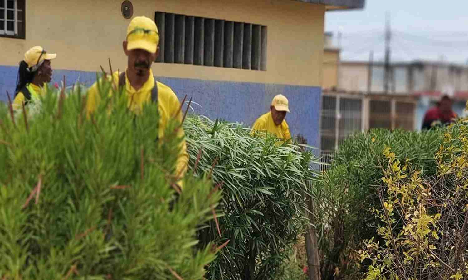 IMA atiende llamado y realiza trabajos de limpieza y remoción en sector 10 de San Jacinto