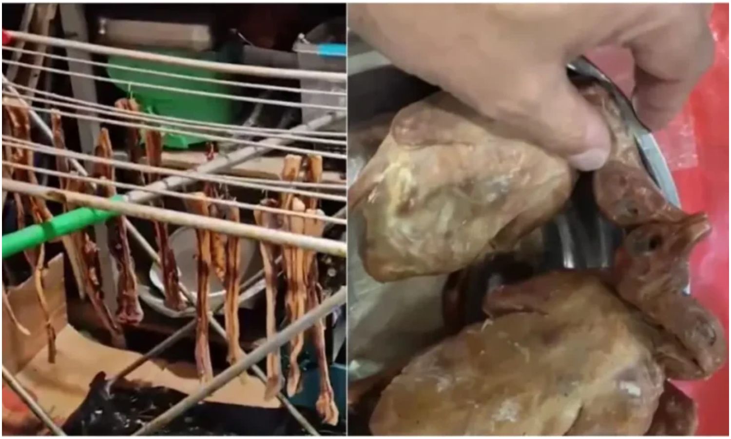 Clausuran restaurante chino en Madrid por servir carne de palomas y decir que era pato laqueado
