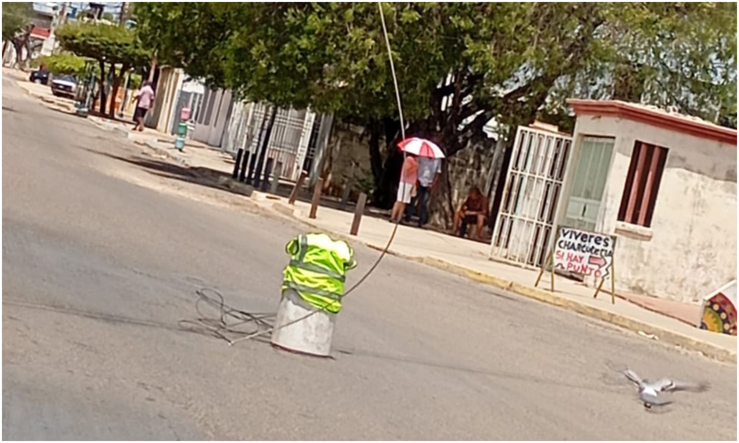 Familias de varios sectores de San Jacinto en Maracaibo quedaron sin luz tras desprendimiento de guayas eléctricas