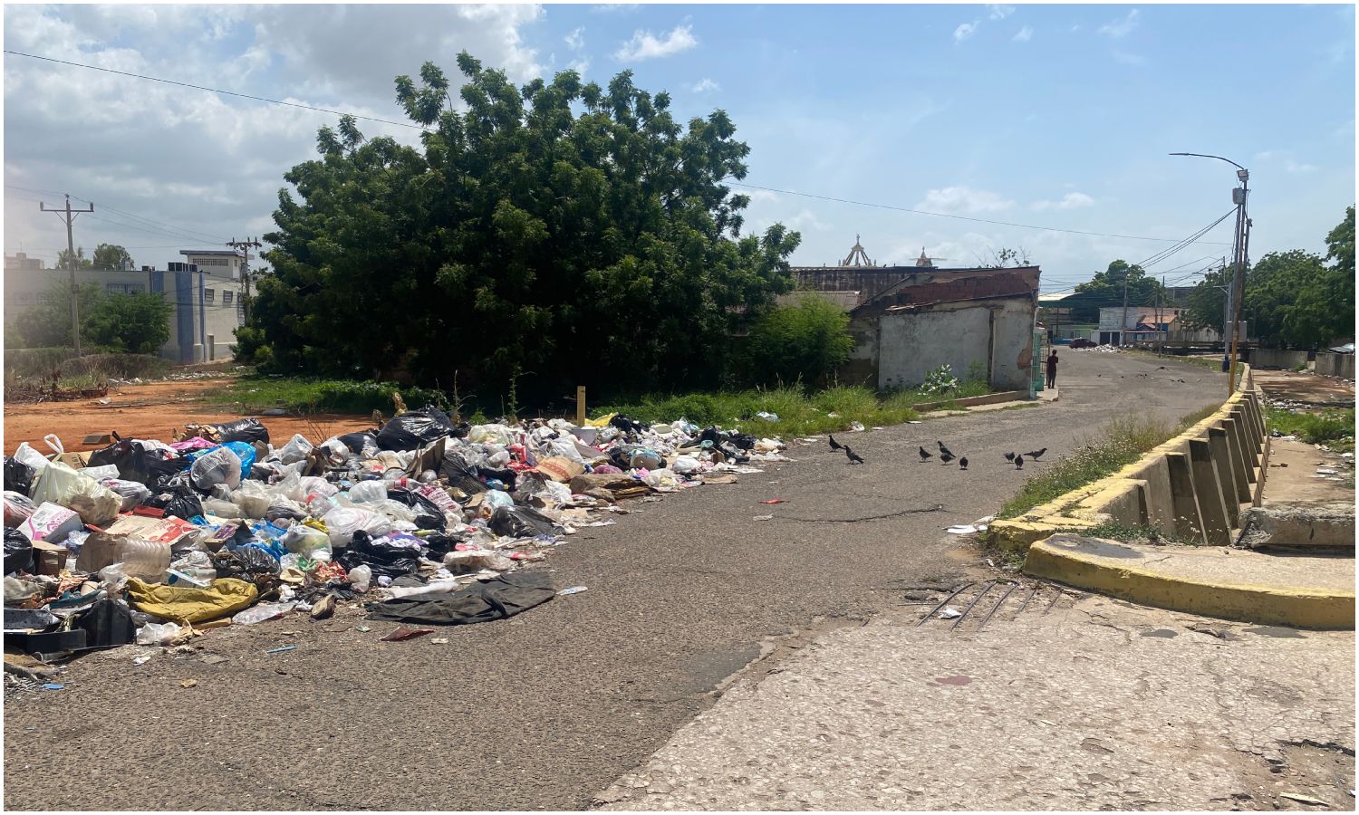 Acumulación de basura en el sector Veritas de Maracaibo obstaculiza el paso en una de las calles (+Video)