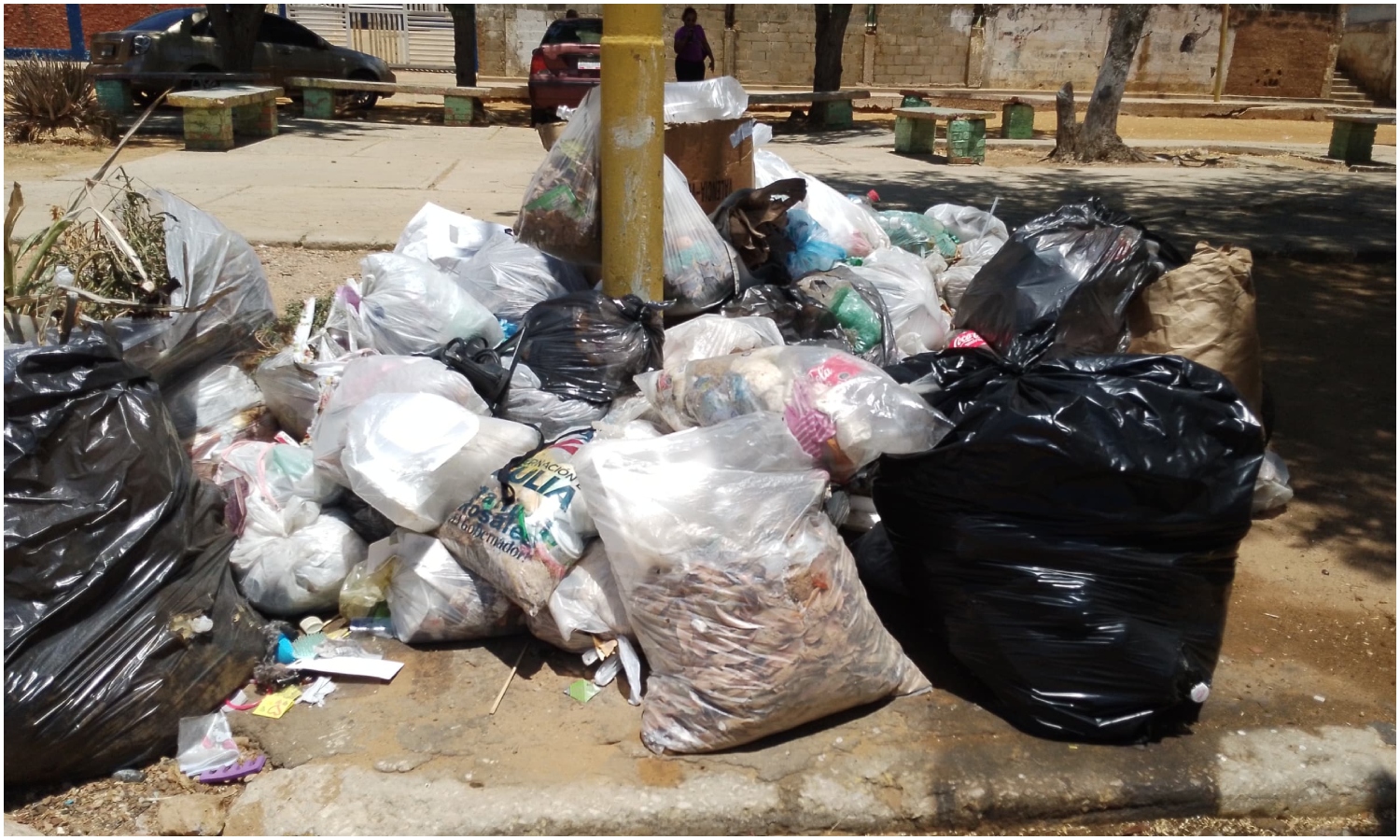 Moscas y malos olores ahogan a vecinos de San Jacinto ante la falta de recolección de basura en Maracaibo