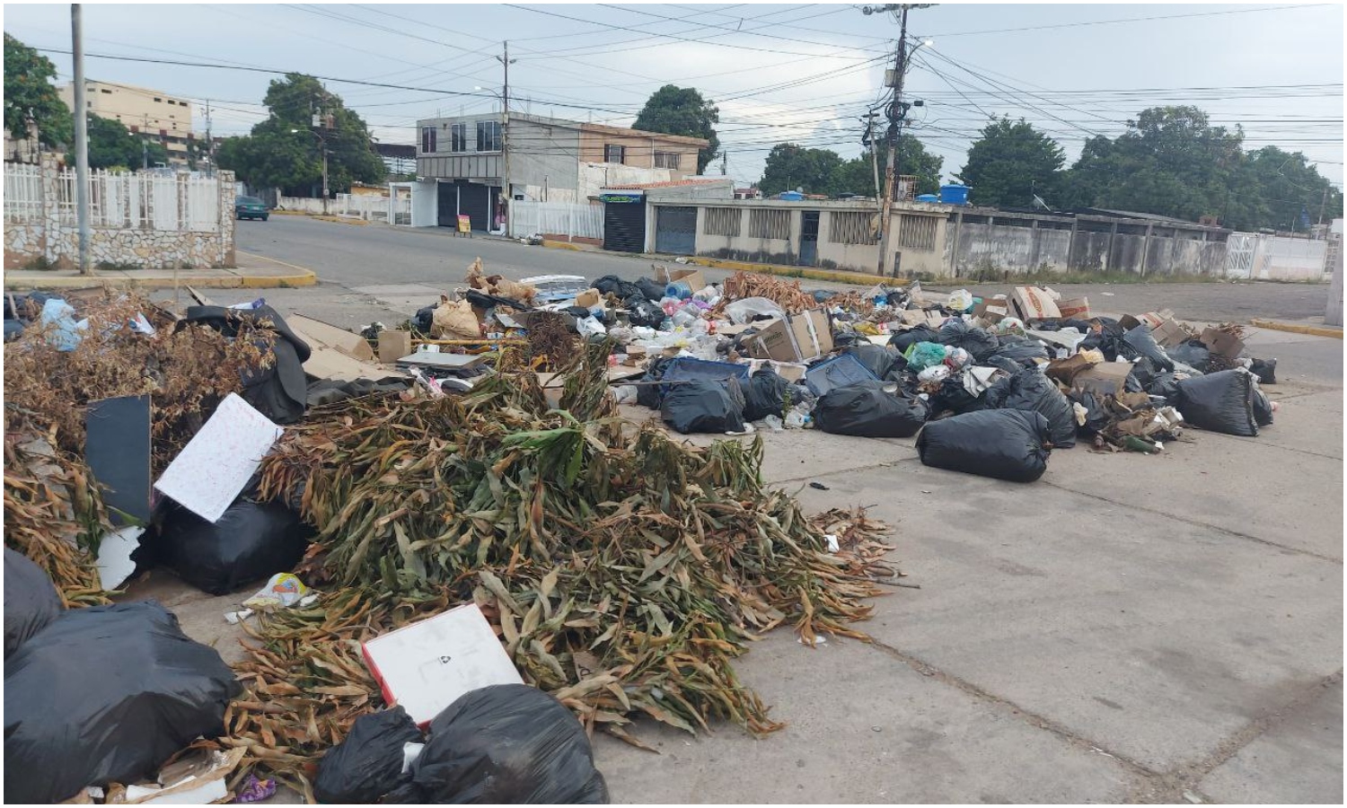 En la urbanización La Paz no se aguanta la basura: vecinos denuncian ausencia del aseo urbano desde hace un mes