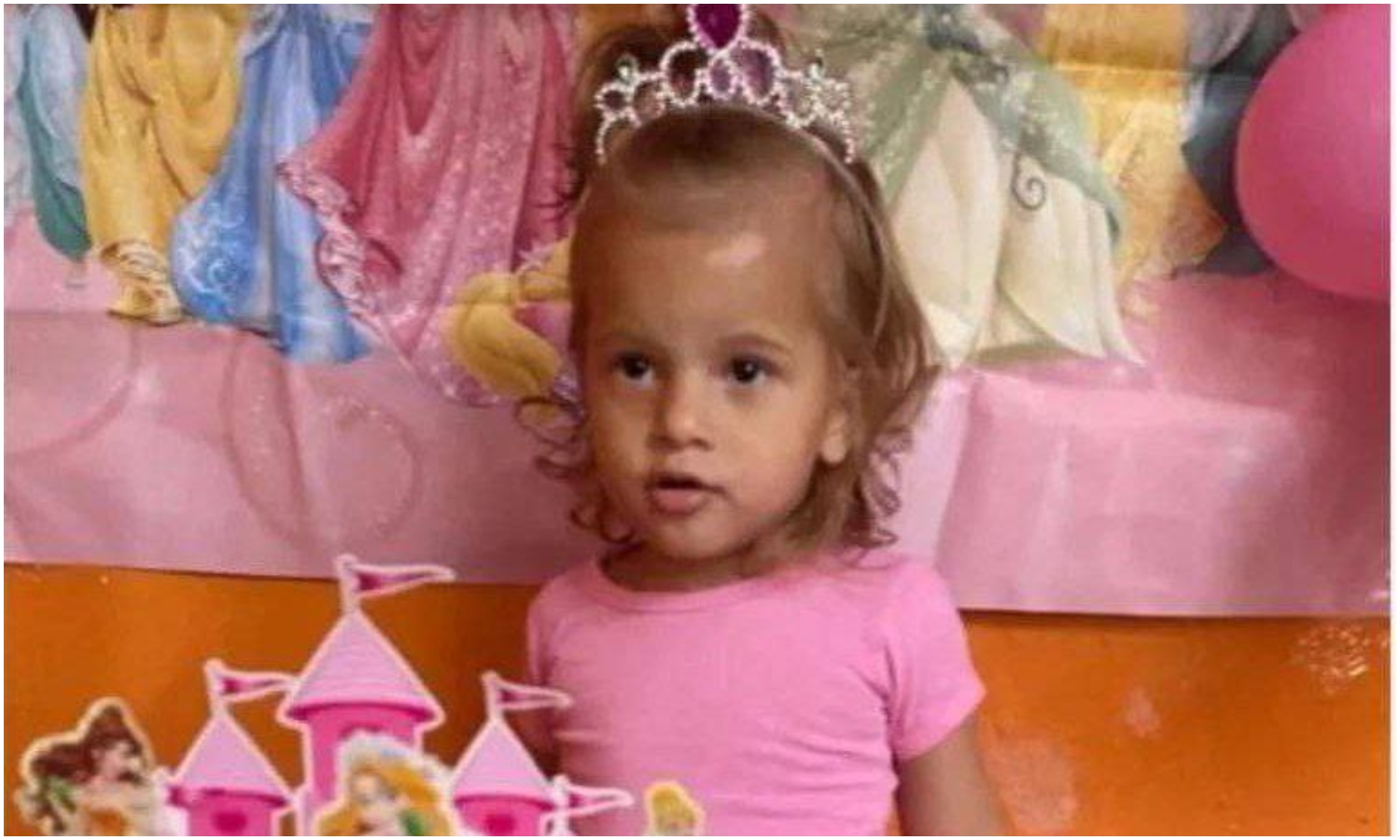 Pitbull mata a una niña de 2 años en Brasil: la mordió en el cuello y arrastró por el patio