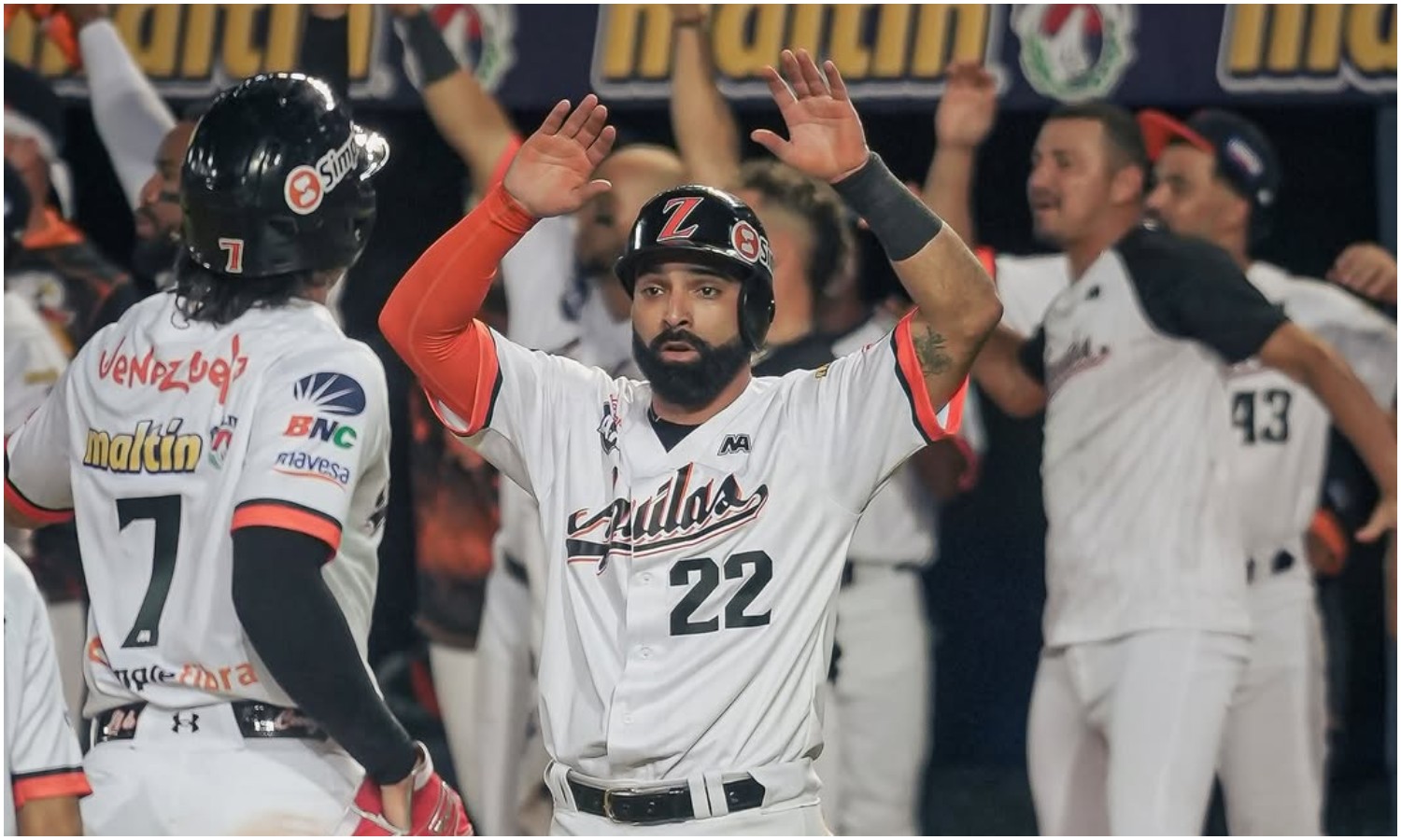 Águilas del Zulia cierra primera semana de la temporada 2025-2026 con dos victorias y dos derrotas