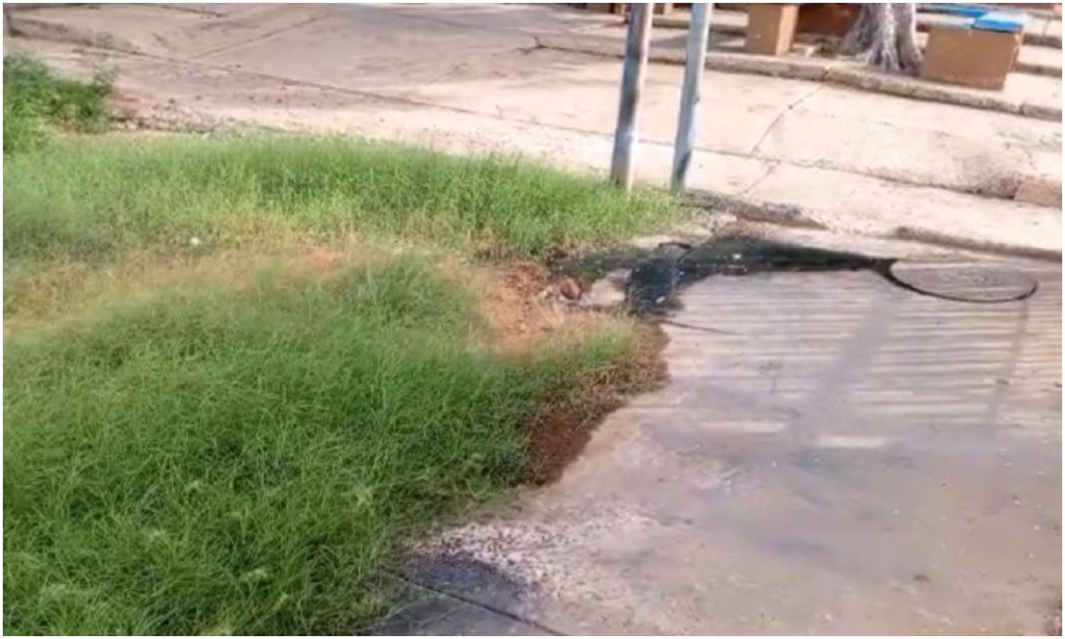 Familias de San Jacinto cumplen un mes afectadas por desbordamiento de aguas negras sin respuesta de Hidrolago