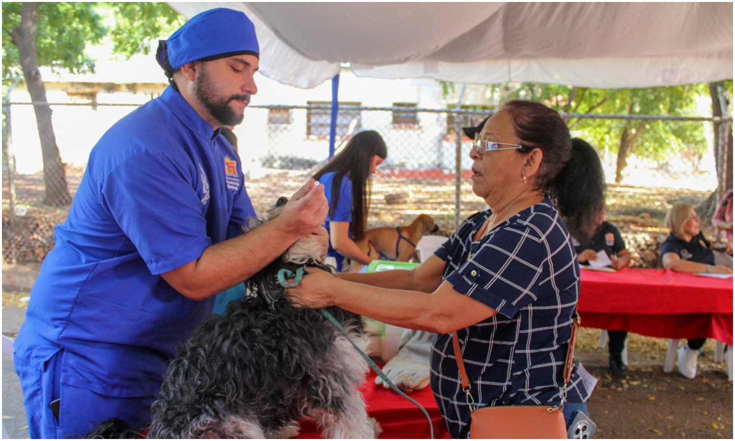 IMPA supera las mil esterilizaciones y más de 5.000 atenciones veterinarias en Maracaibo en solo tres meses
