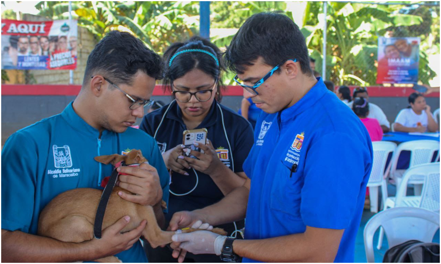 IMPA amplía atención veterinaria gratuita a las comunidades a través de los Mercados Populares de Maracaibo
