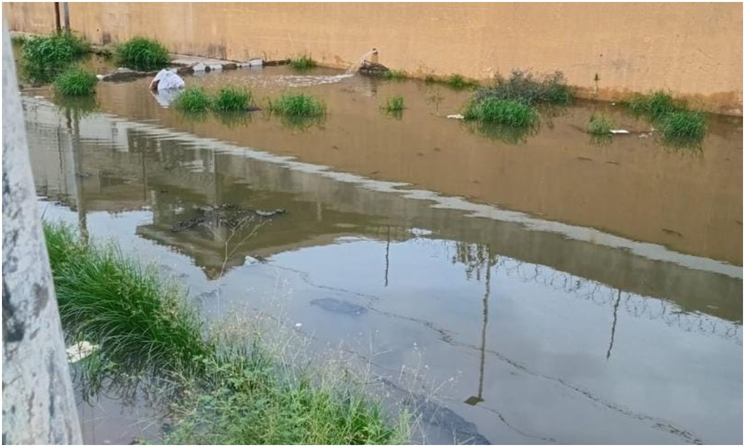 Denuncian que más de 400 familias viven entre aguas negras desde hace seis años en el norte de Maracaibo