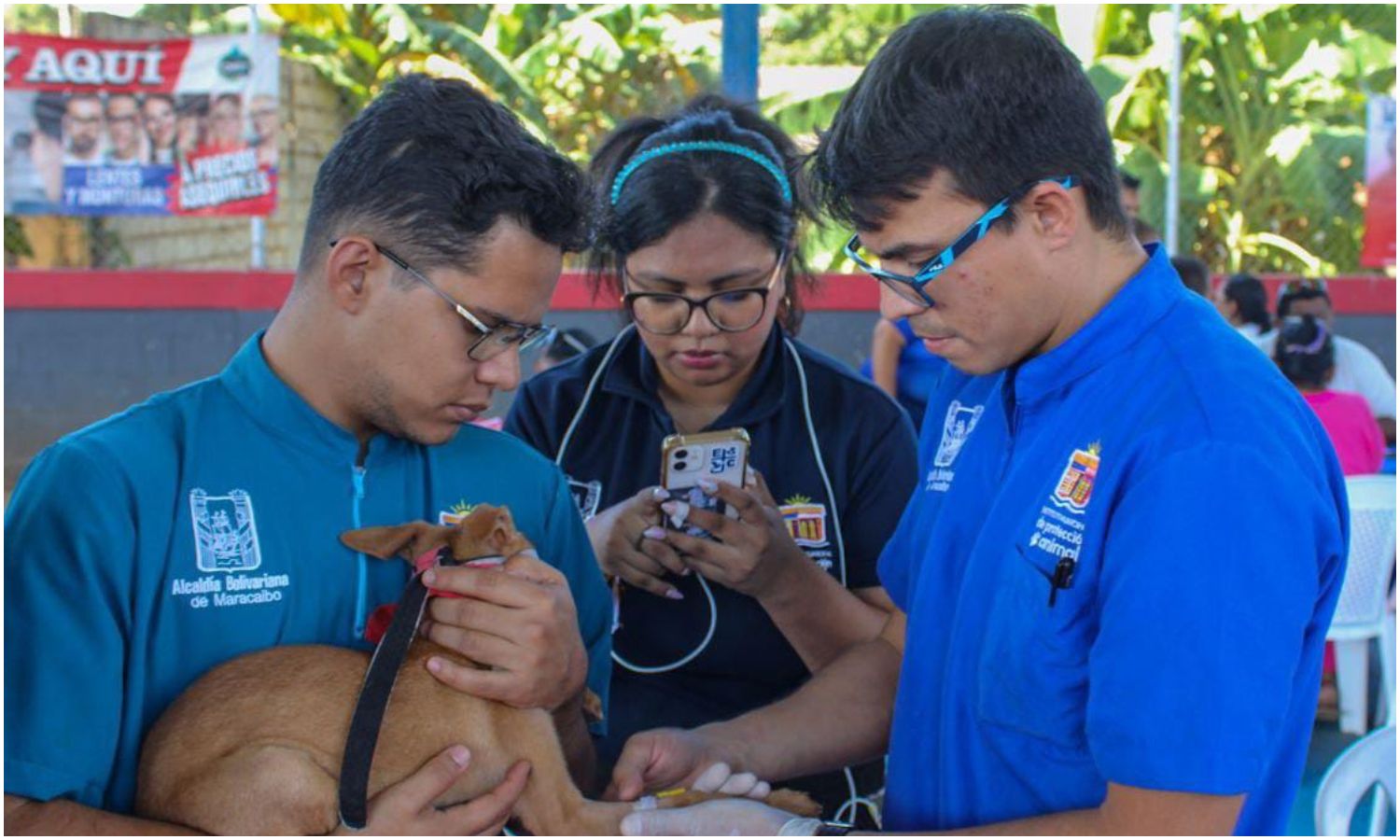 Alcaldía de Maracaibo realizará jornada de vacunación para caninos y felinos este 7 de marzo