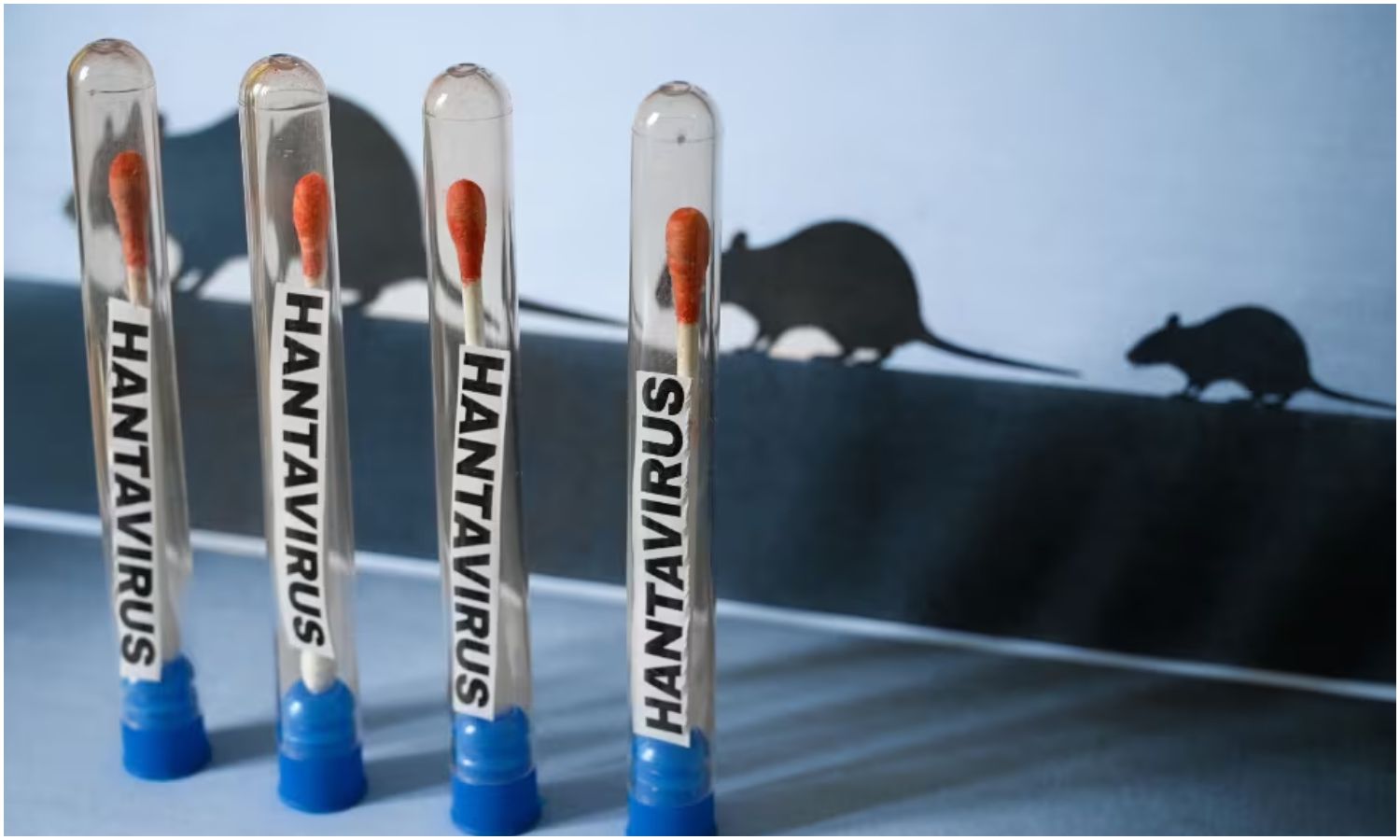 La OMS descarta que el brote de hantavirus se convierta en una pandemia