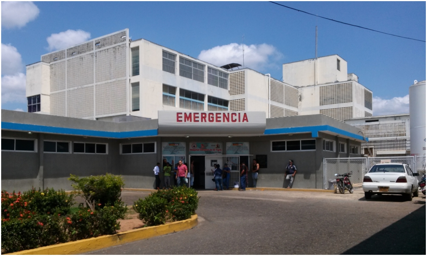 Infectólogo descarta brote masivo de hantavirus en Venezuela: “No se transmite de persona a persona”