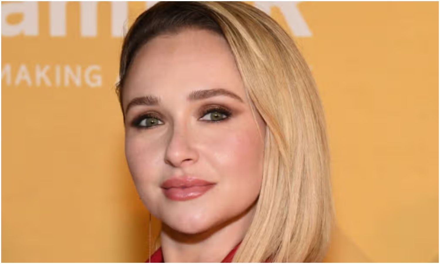 Confirman el fallecimiento de la actriz estadounidense Hayden Panettiere a sus 36 años