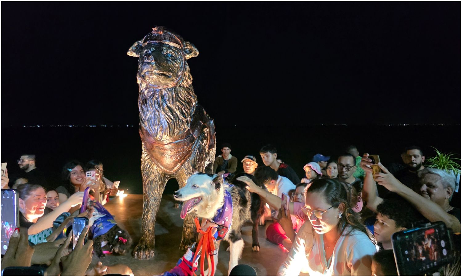 Alcaldía de Maracaibo devela monumento en honor al perro rescatista Tsunami en la Vereda del Lago