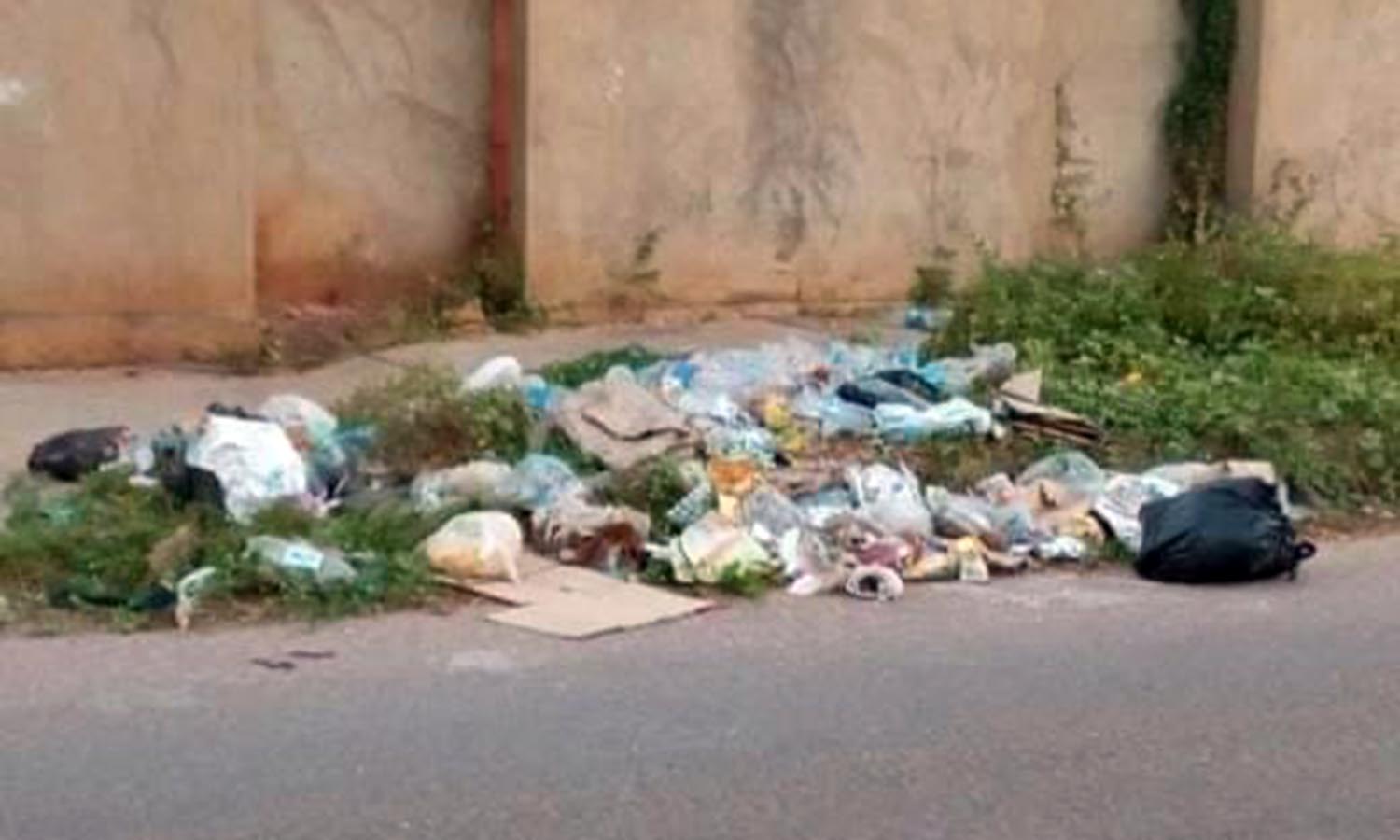 basura y aguas negras en la rosaleda