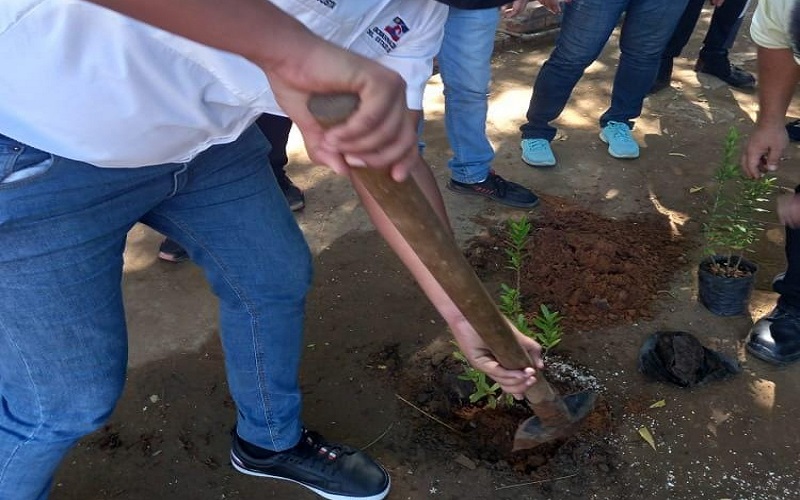 Gobernación Zulia promueve Plan Siembra Árbol Escuela