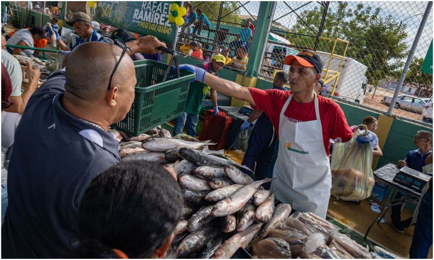feria del pescado maracaibo