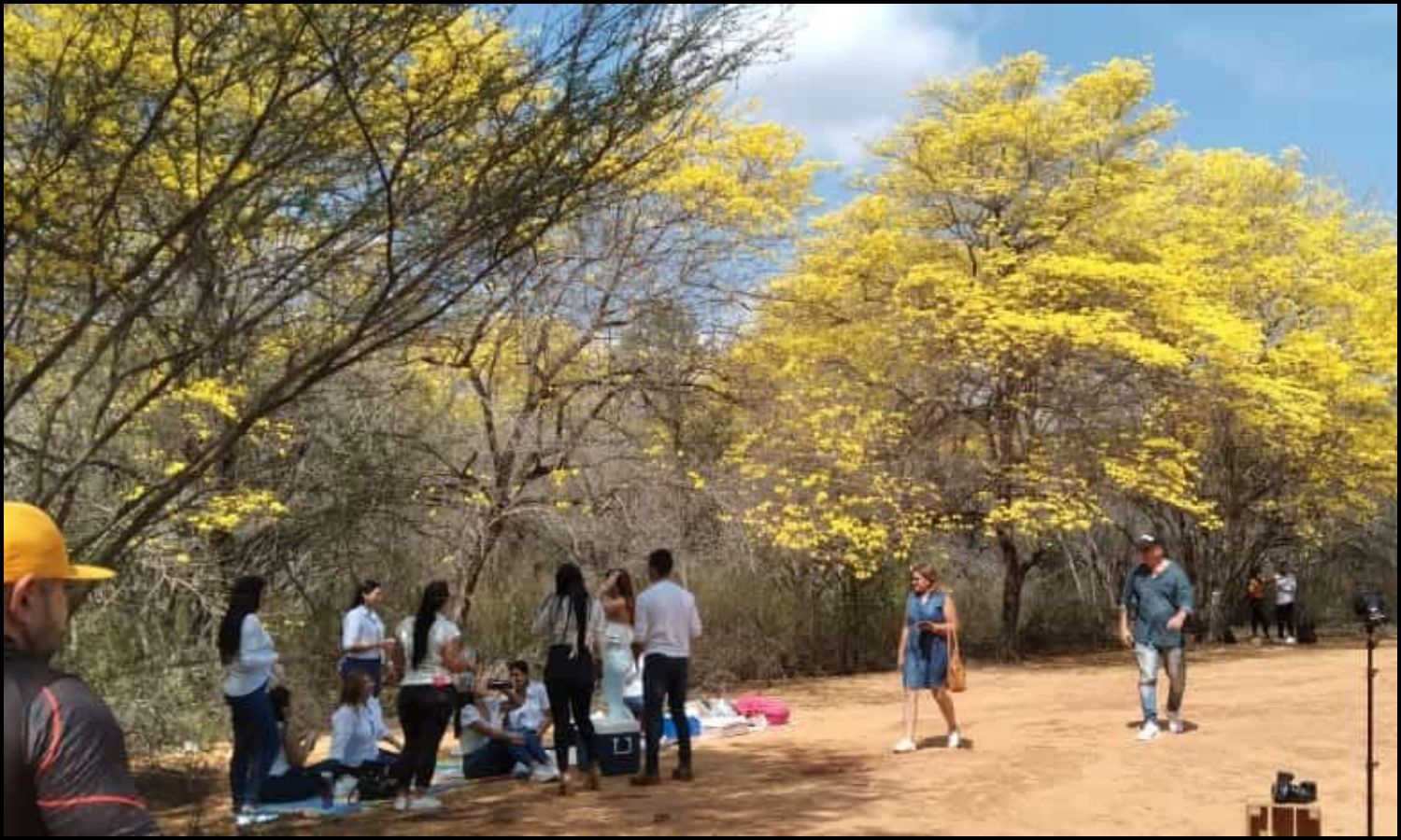 Jardín Botánico de Maracaibo