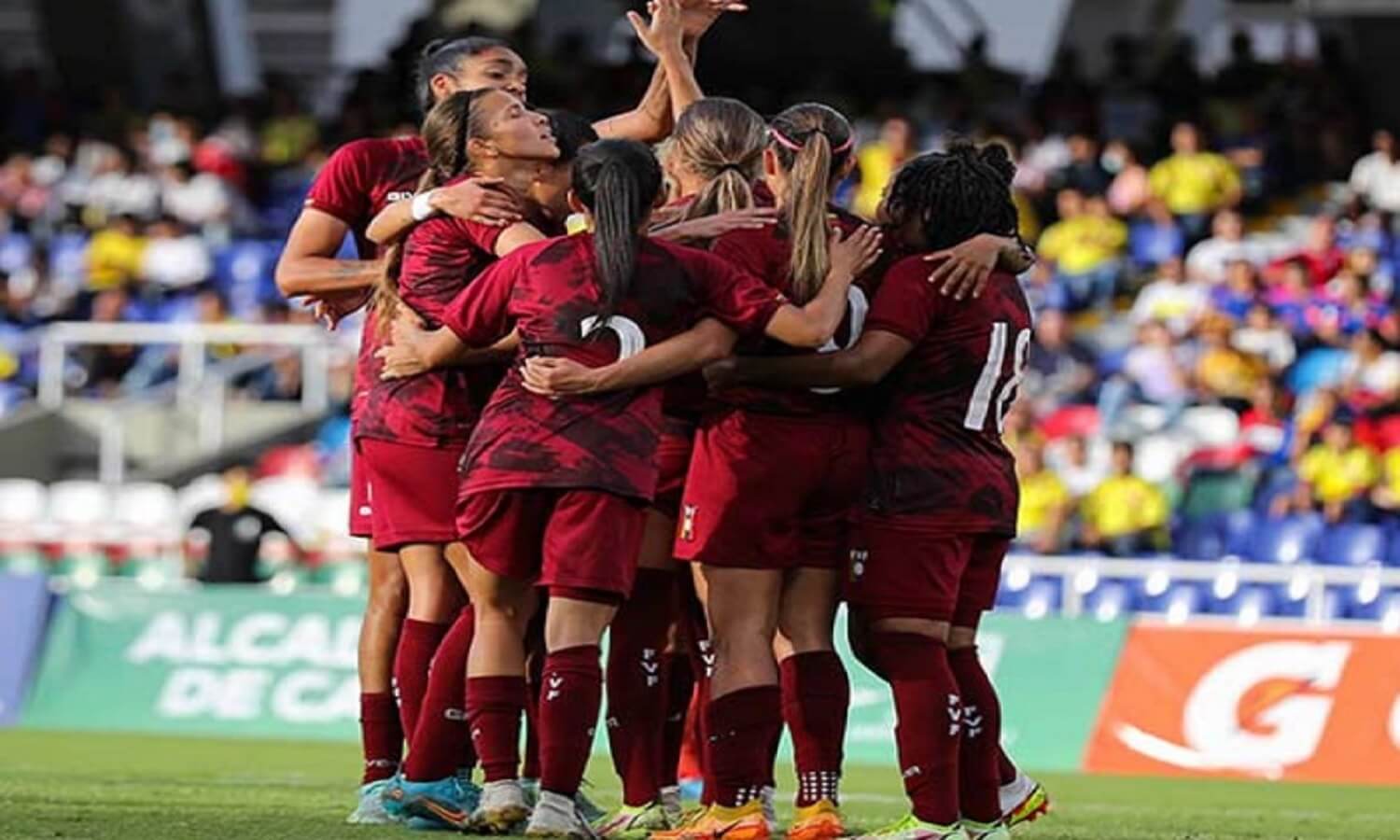 vinotinto femenina