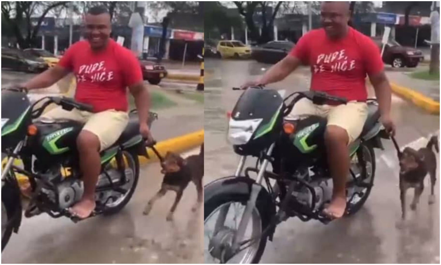 ¡Indignante! Hombre arrastra a un perro por el cuello mientras conduce una motocicleta en Colombia (+Video)