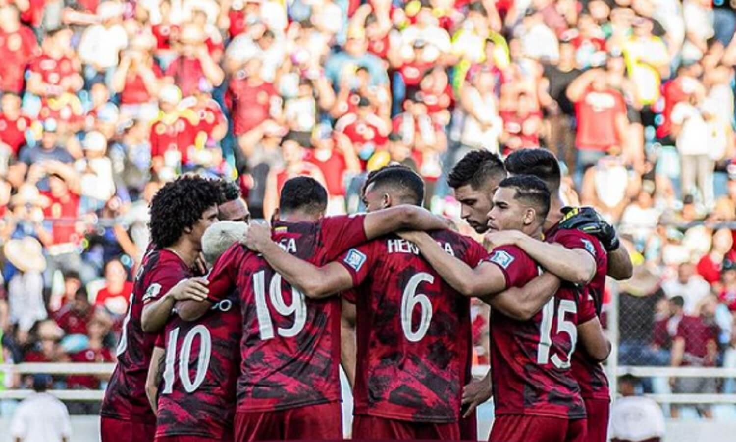 vinotinto