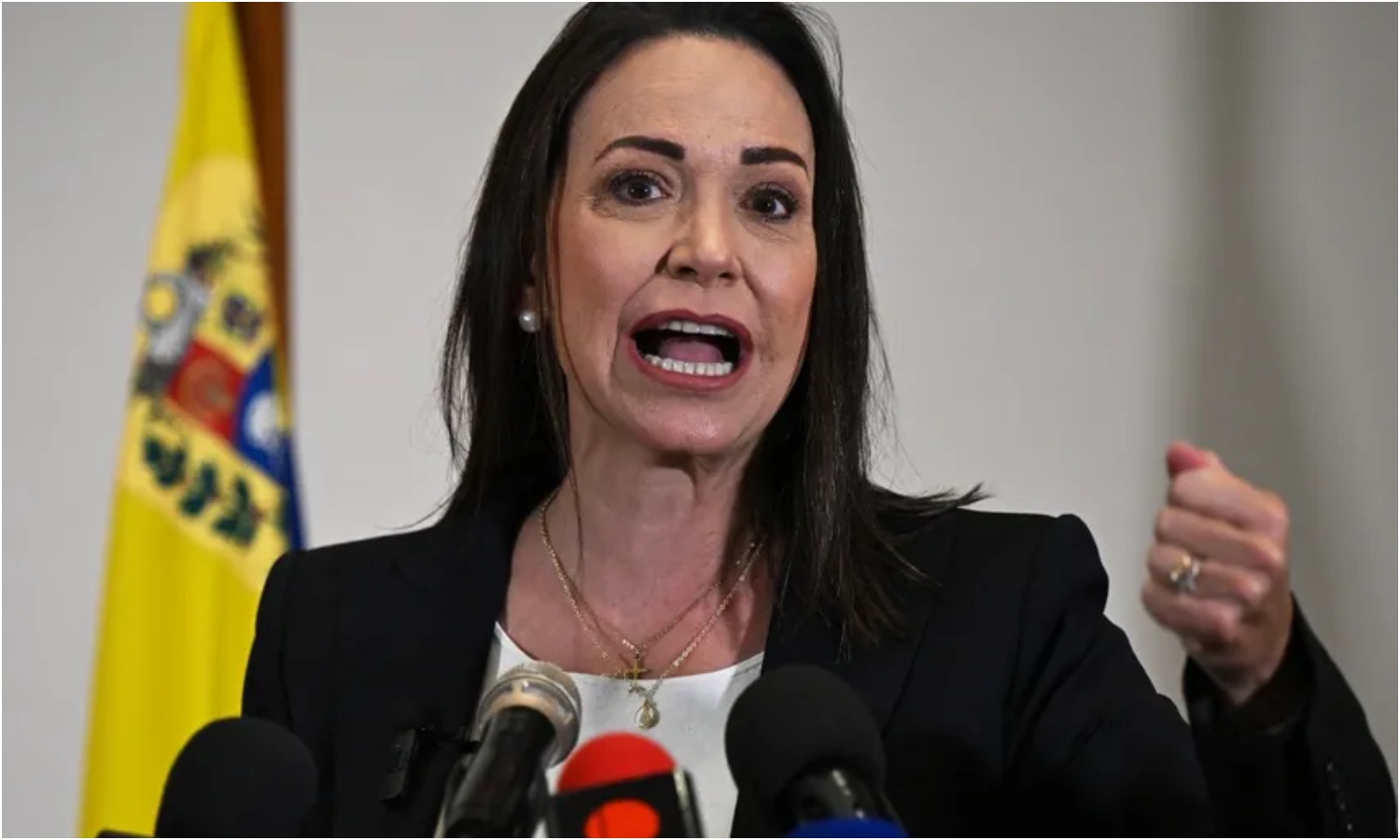 “Mi candidata es Corina Yoris”: María Corina Machado asegura que seguirán “hasta el final” para conseguir elecciones libres en Venezuela